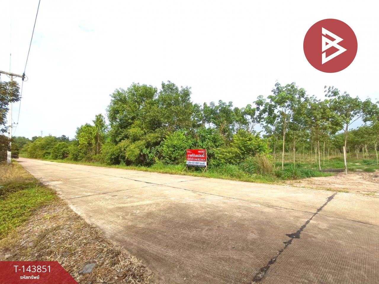 ขายที่ดิน เนื้อที่ 6 ไร่ 2 งาน 92.2 ตร.วา วังจันทร์ ระยอง – รูปที่ 4