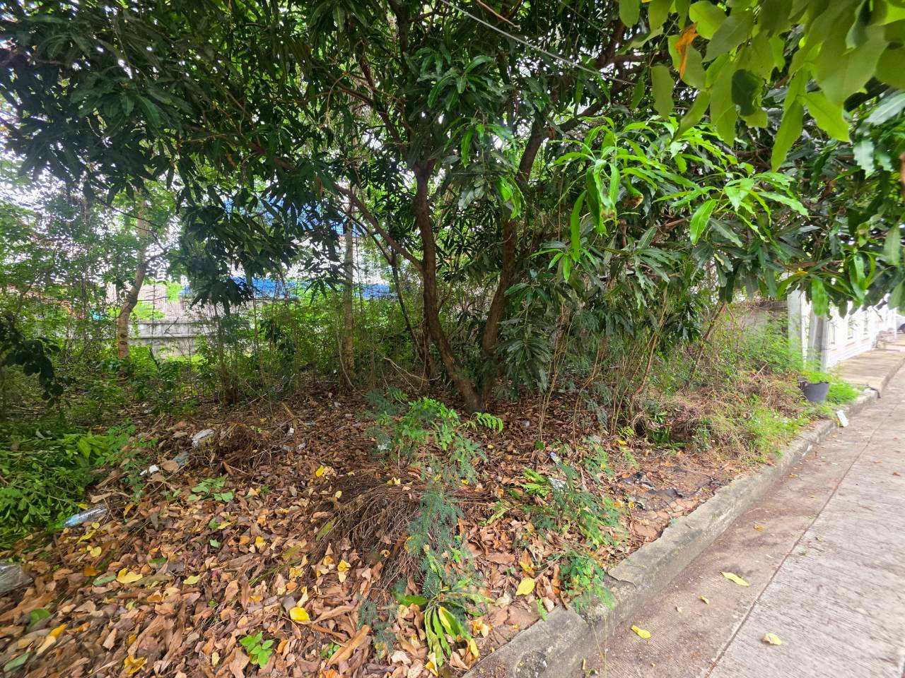sss552 ขายที่ดิน หมุ่บ้าน กฤษดากร 18 ถนนพุทธมณฑลสาย 3  Line: @956uovqp – รูปที่ 2