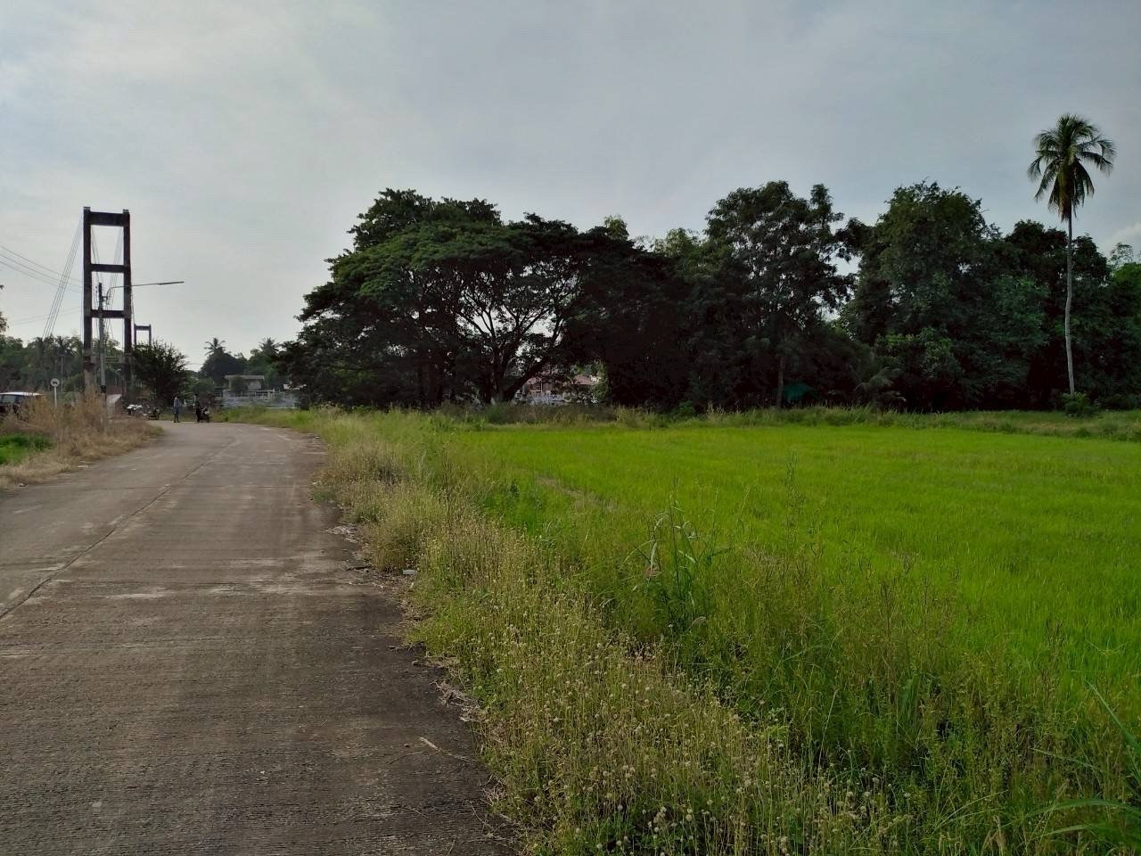 Land along the Nan River 2-3-15.9 sq m. 1.5 million – รูปที่ 2