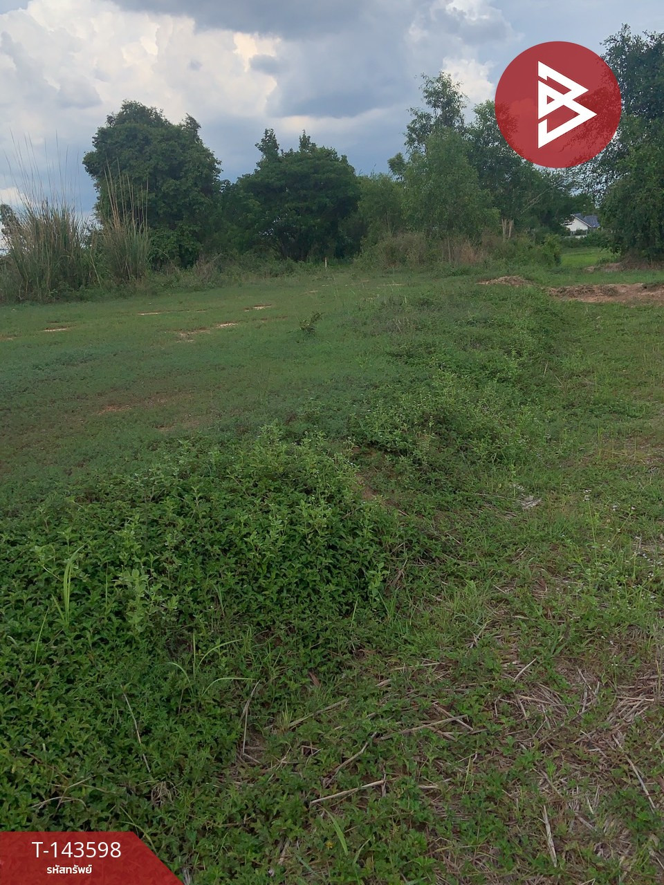Land for sale, area 1 rai, Na Di, Udon Thani. – รูปที่ 4