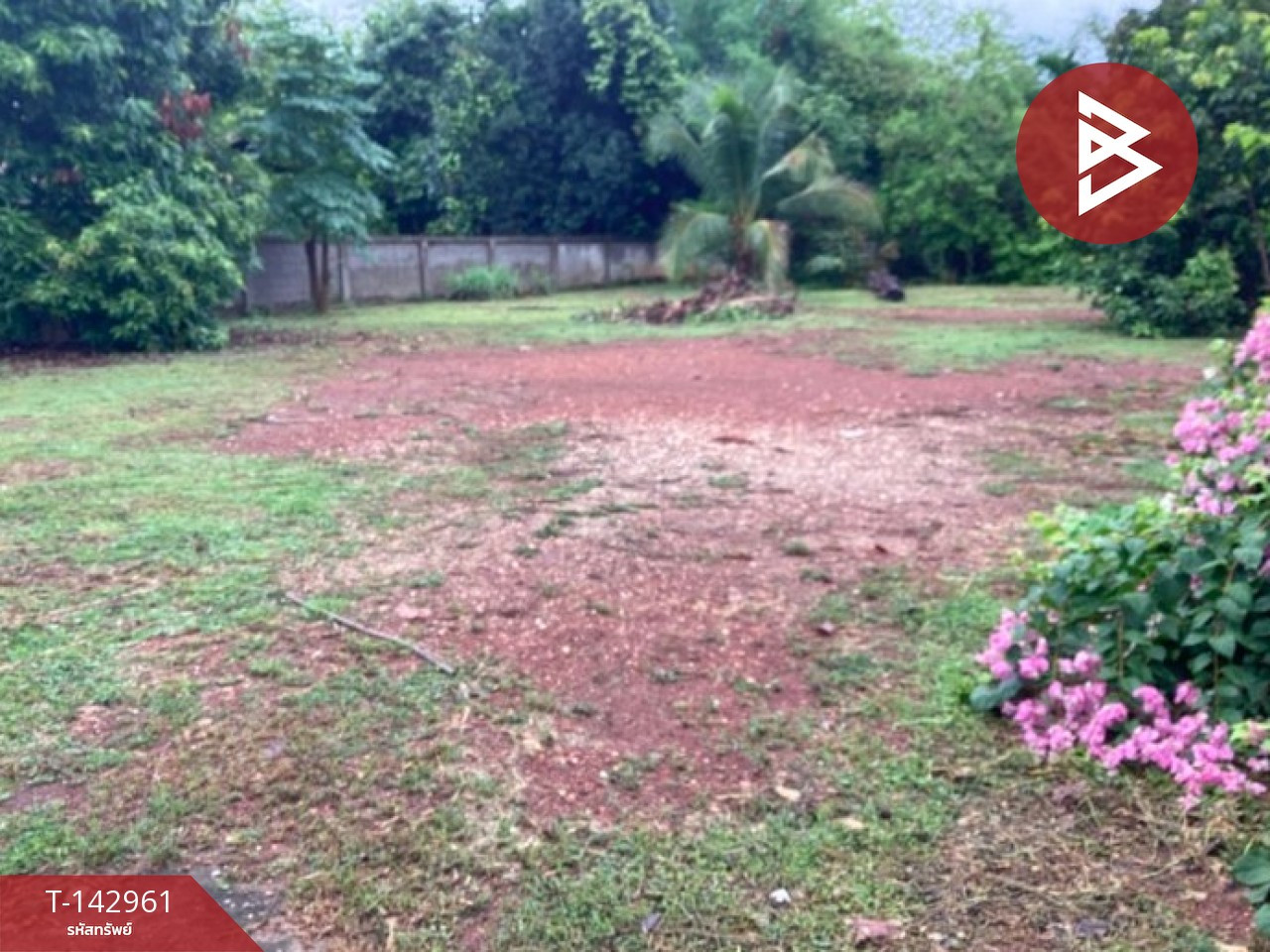 Land for sale, area 1 ngan 91 sq m, Ngio Ngam, Uttaradit. – รูปที่ 4