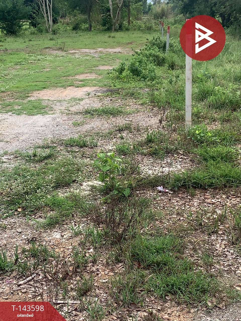 Land for sale, area 1 rai, Na Di, Udon Thani. – รูปที่ 2