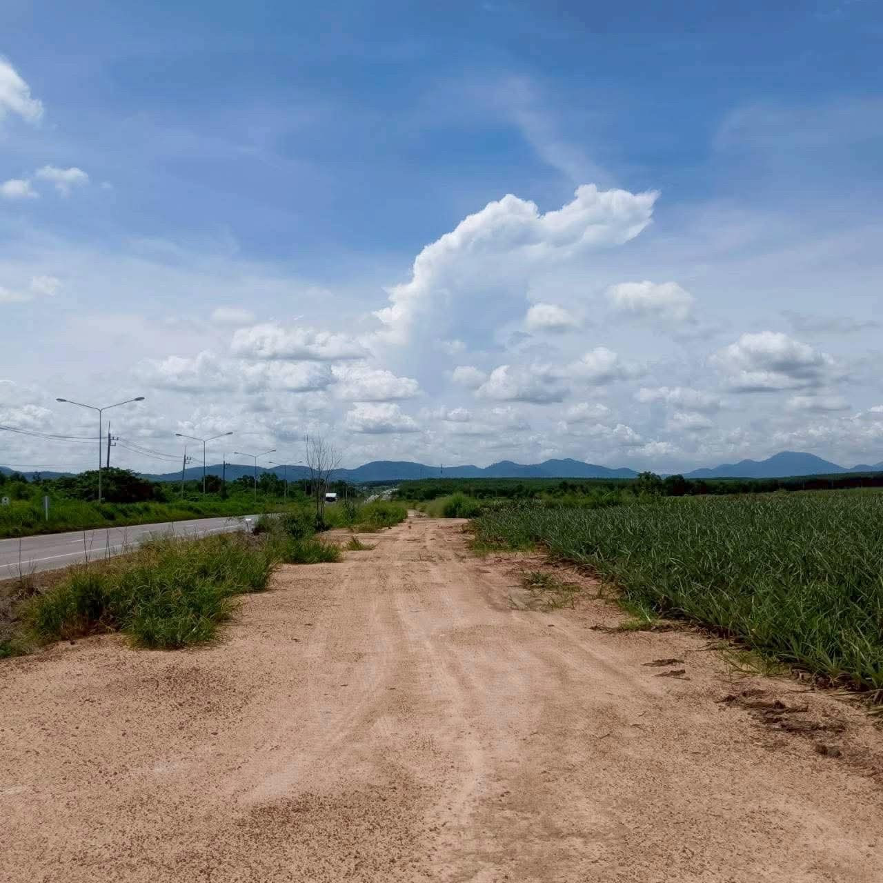 [300-600 Rai] Rare Yellow Zone Land for Sale Next to WHA Ban Khai Industrial Estate, Rayong