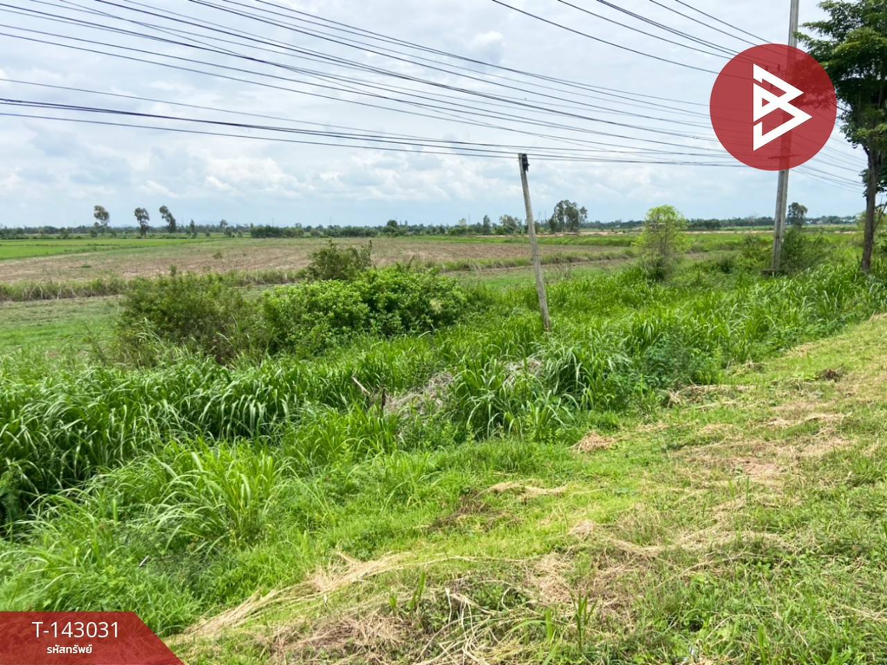 ขายที่ดิน เนื้อที่ 24 ไร่ 2 งาน 27 ตร.วา ท่าตะโก นครสวรรค์ – รูปที่ 4