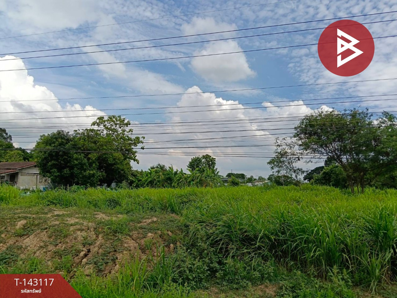 Land for sale, area 1 rai 36 sq m, Bang Rakam, Phitsanulok – รูปที่ 2