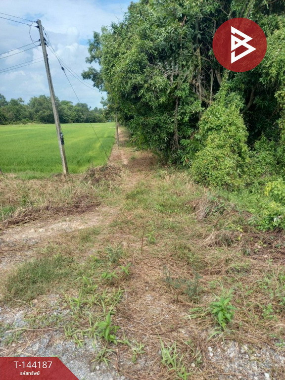ขายที่ดิน เนื้อที่ 3 ไร่ ต.ดงละคร นครนายก – รูปที่ 3