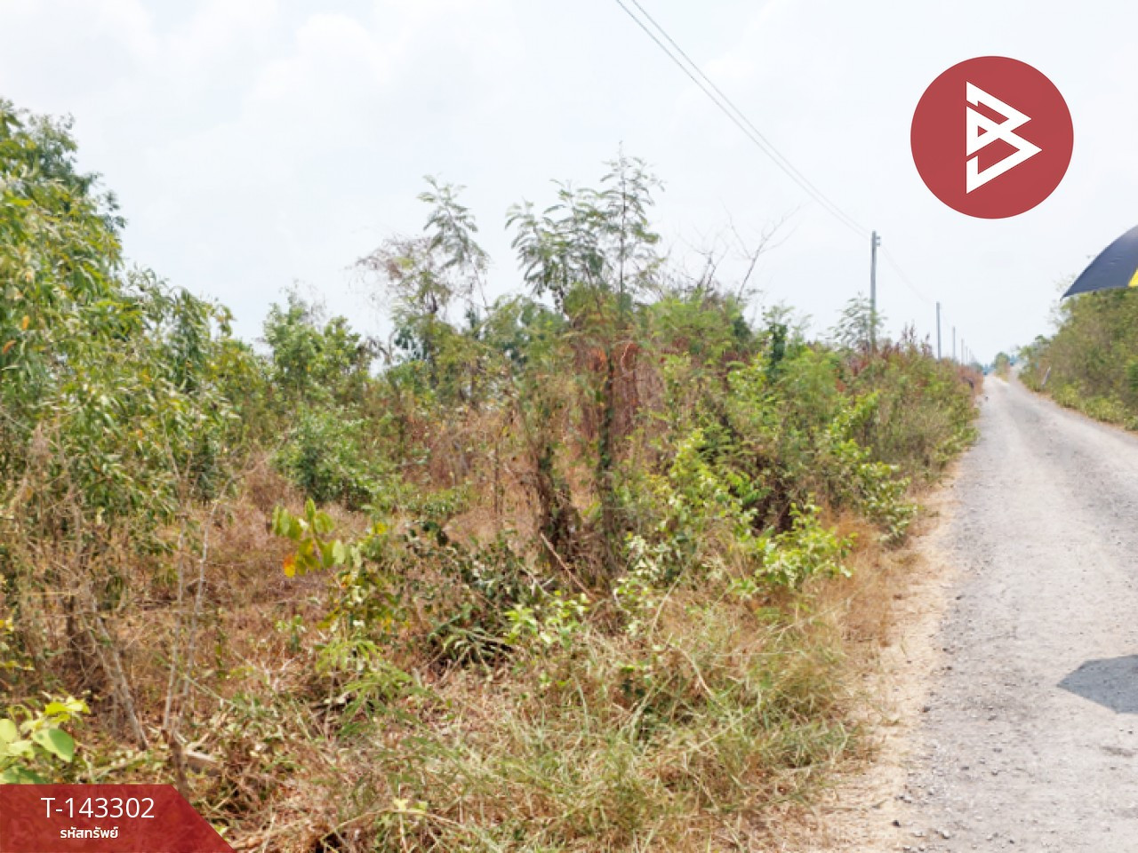 ขายที่ดิน เนื้อที่ 1 งาน 20 ตร.วา องครักษ์ นครนายก – รูปที่ 4