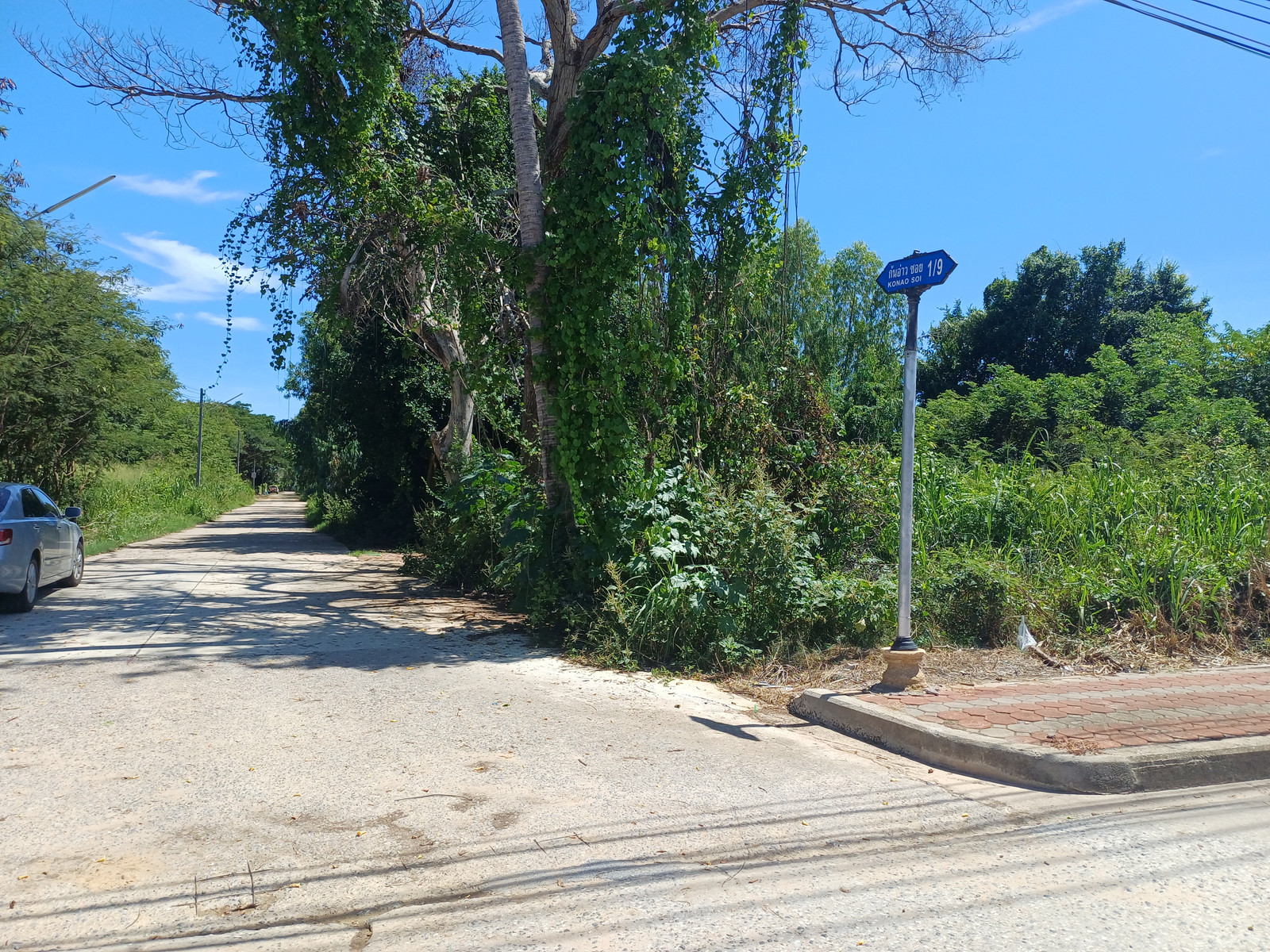Land for sale, 4 rai 2 ngan 28 sq m, near Thesaban 2 School, Ban Phe, Soi Kon Ao 1/9, price 20 million baht (4.37 million baht per rai) – รูปที่ 3