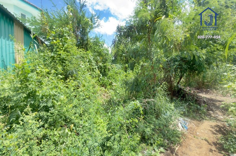 Land for sale 133 sq m, Sridan 22 Road, Srinakarin Road. Near the Yellow Line – รูปที่ 2