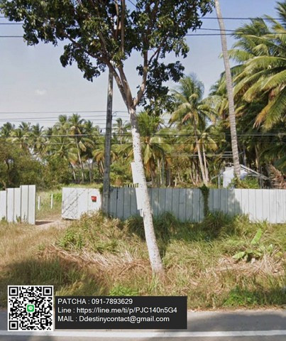 ขายที่ดินสวนมะพร้าว พร้อมบ้านพัก + คอนเทนเนอร์ 40 ฟุต ฟรี! ใกล้ชายหาด บางสะพาน จ.ประจวบคีรีขันธ์ – รูปที่ 4