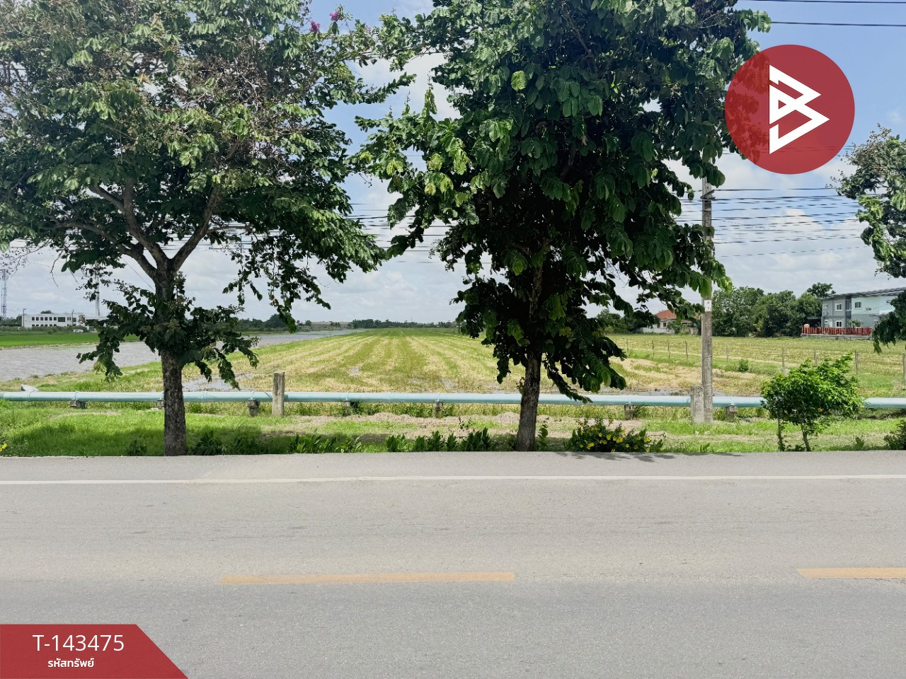 ขายที่ดิน เนื้อที่ 24 ไร่ 5 ตร.วา หนองจอก กรุงเทพมหานคร – รูปที่ 3