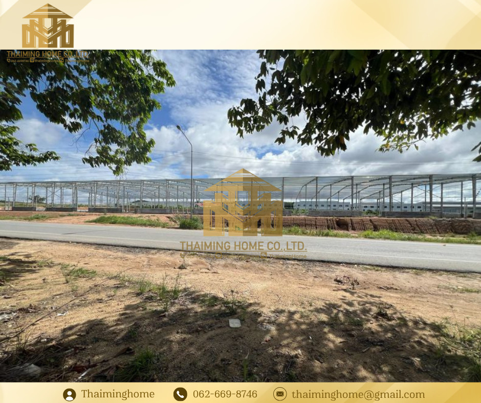 โกดัง/โรงงาน ผังสีม่วง ขนาด9,000ตรม. นิคมโซนจีน ระยอง (TW4-24306) – รูปที่ 4