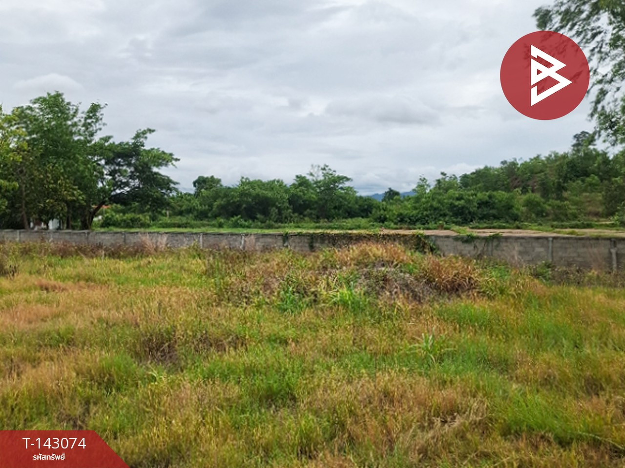 Land for sale, area 5 rai 92.7 sq m, Thoeng, Chiang Rai. – รูปที่ 4