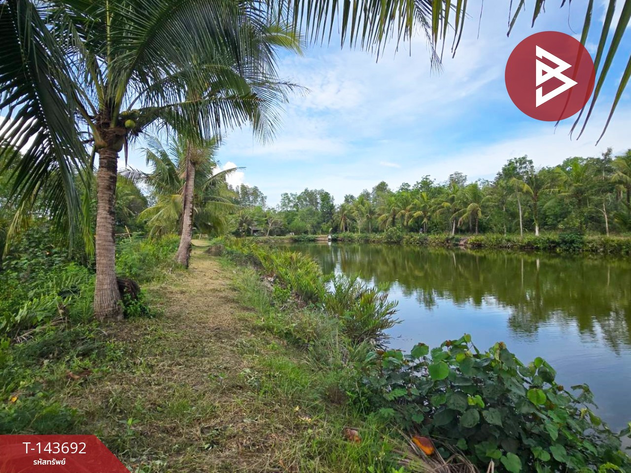 Land for sale, area 14 rai 77 sq m, Tha Yang, Chumphon. – รูปที่ 3