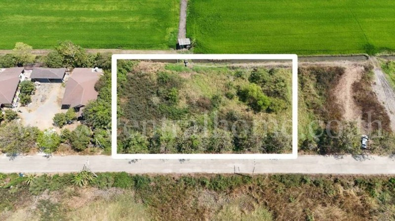 1 rai of land, Wang Noi, Ayutthaya, or sell 2 plots of 200 sq m, very cheap price. – รูปที่ 4