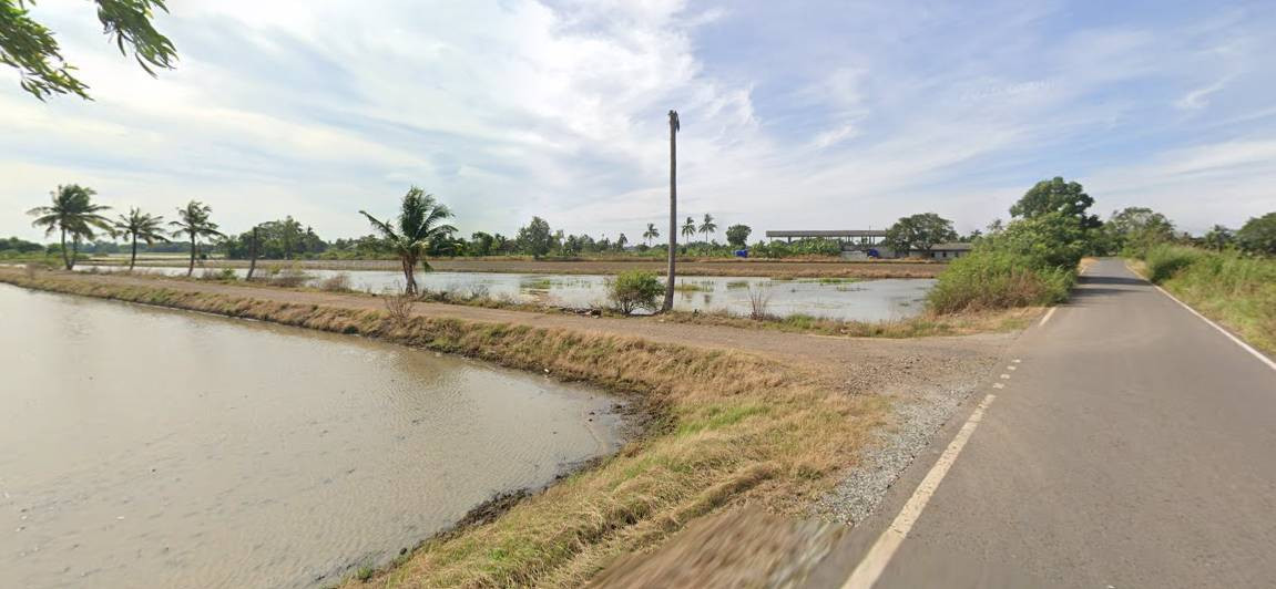 Land for Sale in Lam Toi Ting, Nong Chok, Bangkok 3 Rai | Green Zoning | Approx. 189 m. Wide Frontage | THB 950,000 per Rai – รูปที่ 4