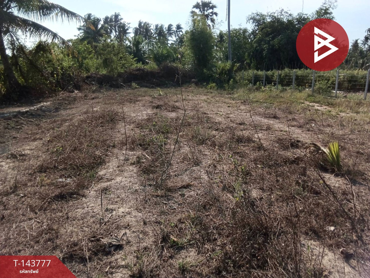 Land for sale, already filled, area 1 rai 76.2 sq m, Tha Yang, Phetchaburi. – รูปที่ 3