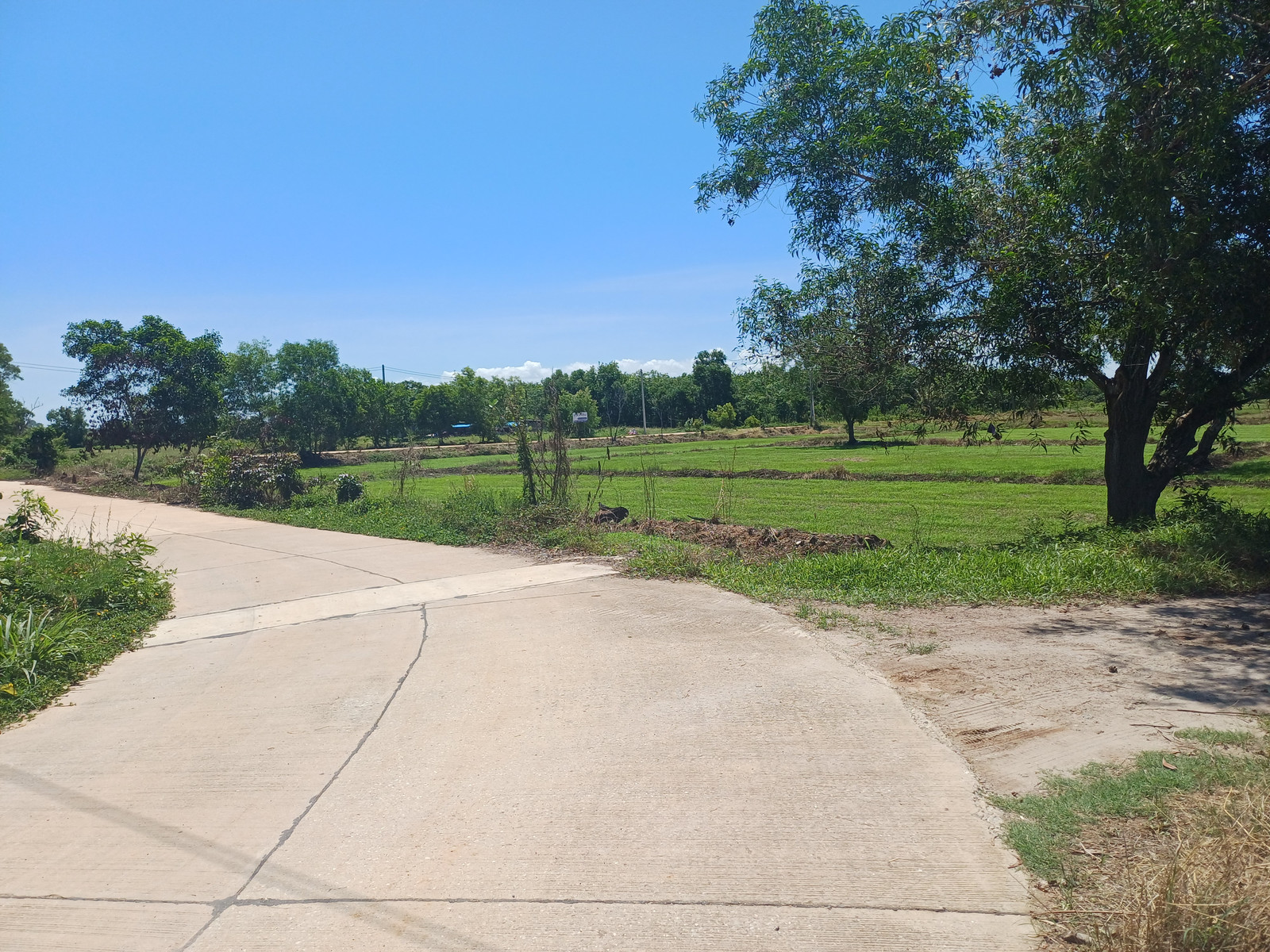 Empty land for sale, rice field 8 rai 95 sq m, Klang Dong, Soi 6/2, Ban Phe, Rayong, width 74+50, length 174 meters, price 15.5 million baht. Empty land for sale, rice field 8 rai 95 sq m, Klang Dong, Soi 6/2, Ban Phe, Rayong, width 74+50, length 174 meters, price 15.5 million baht.