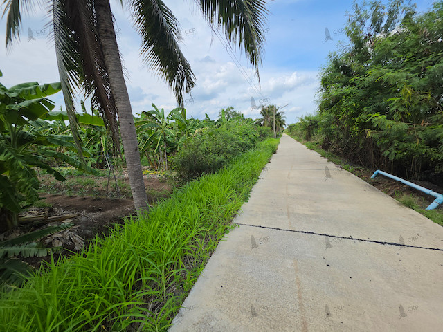 ขาย ที่ดินเปล่า 5 ไร่ (สวนกล้วย) เข้าออกได้สองทาง ซ.โรงช้อน ติดถนนคอนกรีต | 93360 – รูปที่ 4