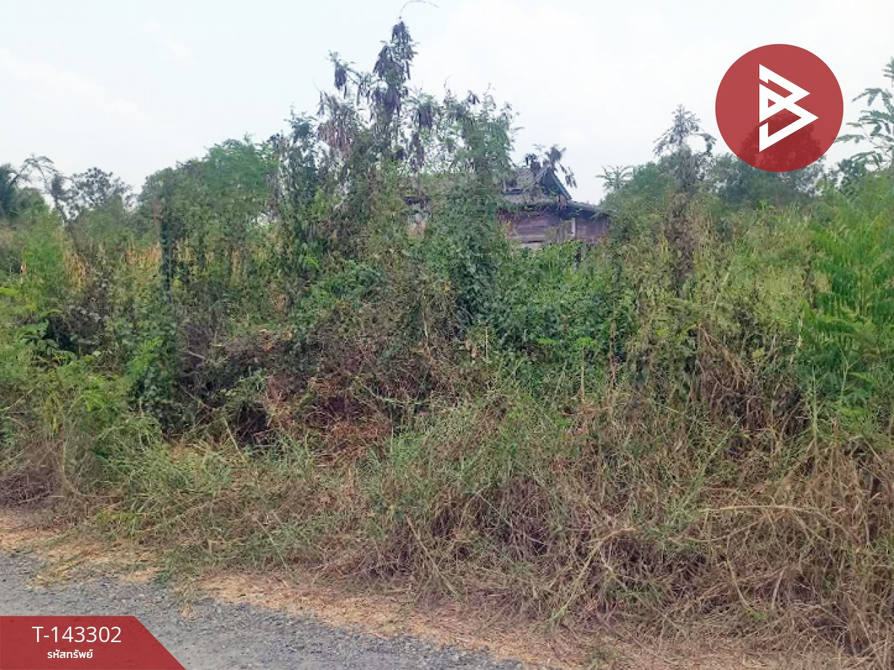ขายที่ดิน เนื้อที่ 1 งาน 20 ตร.วา องครักษ์ นครนายก – รูปที่ 2