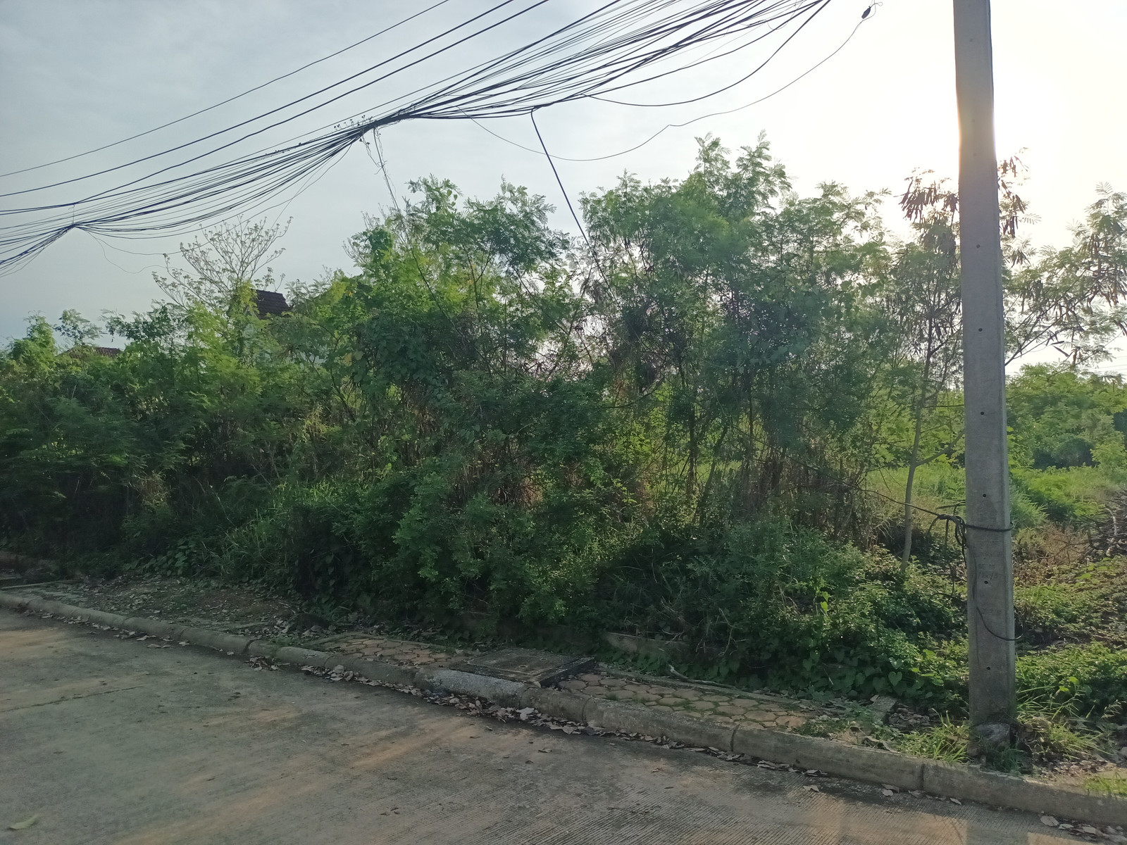 Land for Sale at Krisadanakorn 27, Sam Phran, Nakhon Pathom. Land size 100 sq.wah, conveniently located near Mahidol University Salaya and major lifestyle destinations. Land for Sale at Krisadanakorn 27, Sam Phran, Nakhon Pathom. Land size 100 sq.wah, conveniently located near Mahidol University Salaya and major lifestyle destinations.