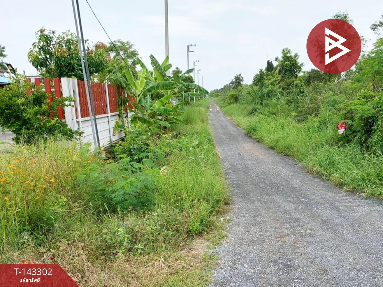 ขายที่ดิน เนื้อที่ 1 งาน 20 ตร.วา องครักษ์ นครนายก – รูปที่ 3