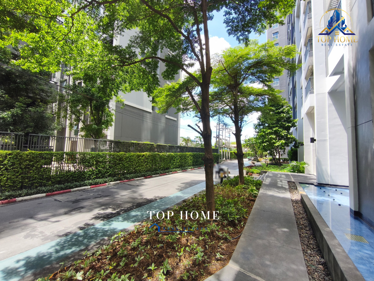 🏢 ขายด่วน❗️คอนโด แอสปาย สุขุมวิท 48 (Aspire Sukhumvit 48) #ห้องริม – รูปที่ 4