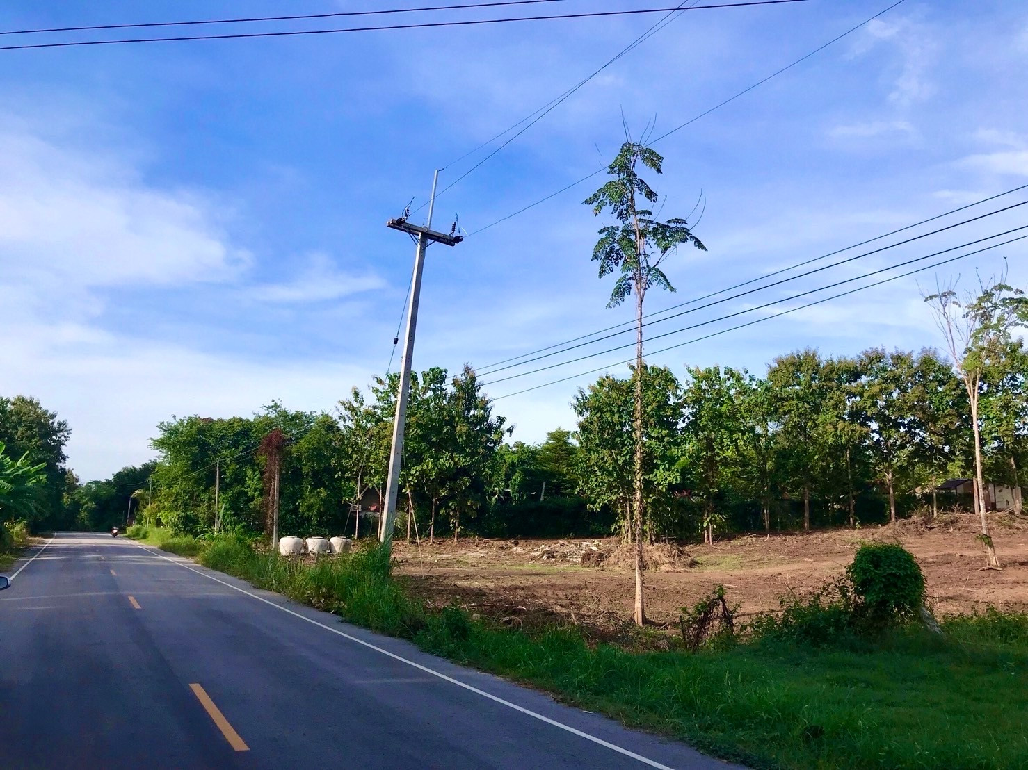 🌿 ที่ดิน 11 ไร่ วิวภูทอก เชียงคาน จ.เลย
ทำเลหายาก ใกล้แหล่งท่องเที่ยวชื่อดังของอำเภอเชียงคาน – รูปที่ 4