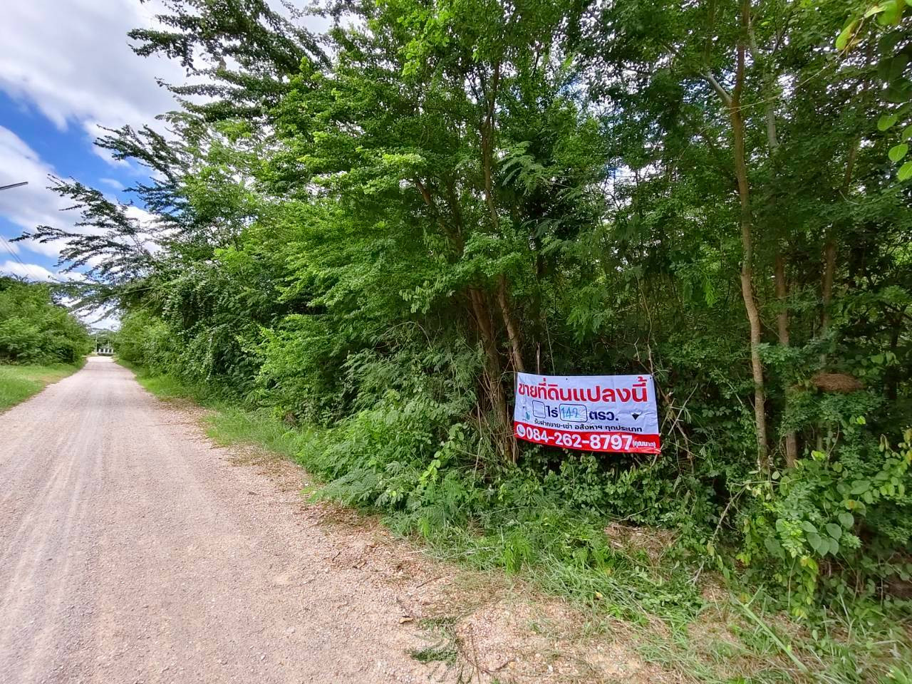 96409 - ขาย ที่ดินเปล่าทำเลดี 142 ตร.ว. ต.บ้านเลือก อ.โพธาราม 96409 - ขาย ที่ดินเปล่าทำเลดี 142 ตร.ว. ต.บ้านเลือก อ.โพธาราม