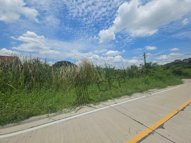 ให้เช่า ที่ดินเปล่า ขนาด 276 ตร.วา ติดถนนคอนกรีต เหมาะกับสร้างที่พักอาศัยหรือโกดัง ใกล้ถนนใหญ่และห้างสรรพสินค้า | 93382 – รูปที่ 4