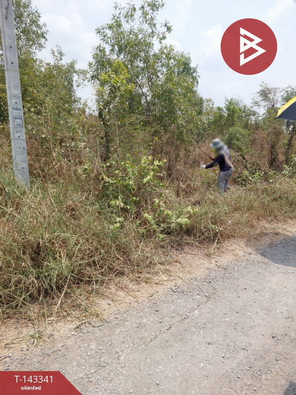 ขายที่ดิน เนื้อที่ 1 งาน 20 ตร.วา องครักษ์ นครนายก – รูปที่ 2