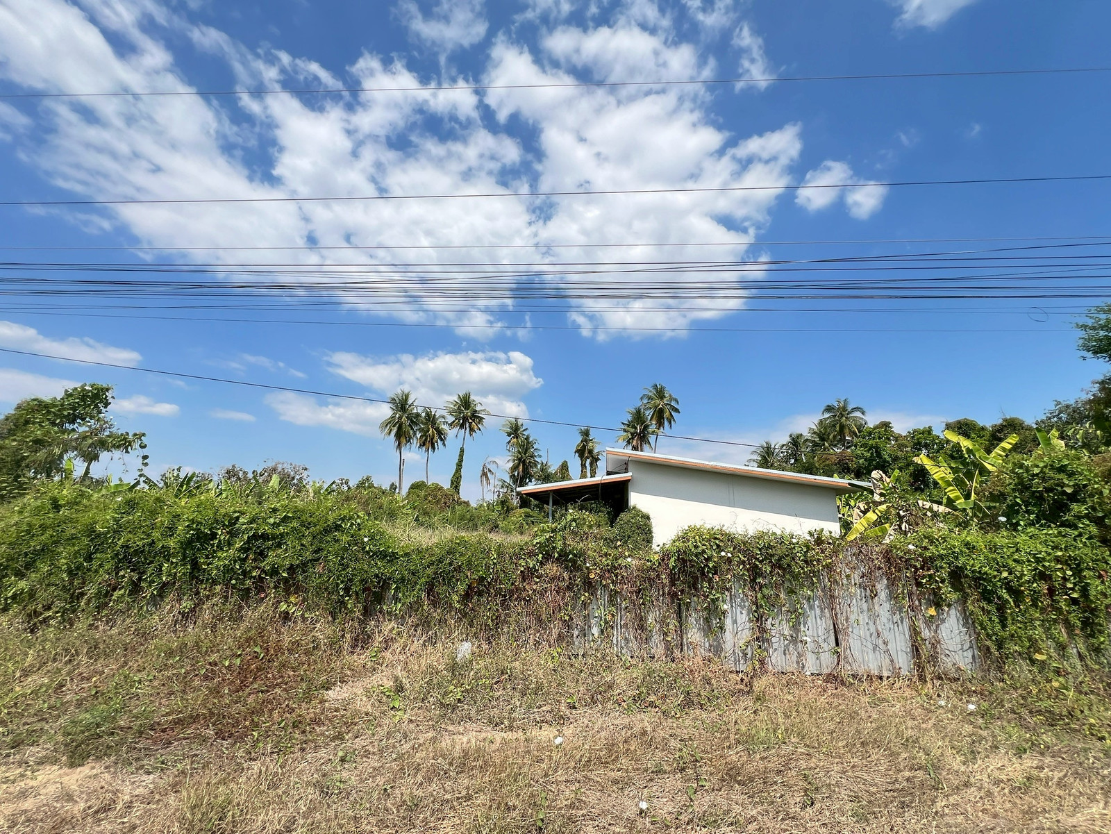 ขายที่ดินริมน้ำปิง2ไร่2งานพร้อมบ้านสวน1หลังอ.คลองขลุง – รูปที่ 3