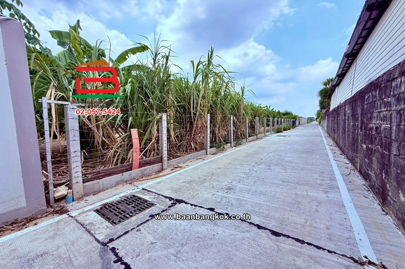 Empty land, area 147.7 sq m, Soi along Khlong Sam 5 (the alley next to Warapirom Khlong 3 Village), Lam Luk Ka Road, Lat Sawai Subdistrict, Lam Luk Ka District, Pathum Thani. – รูปที่ 3