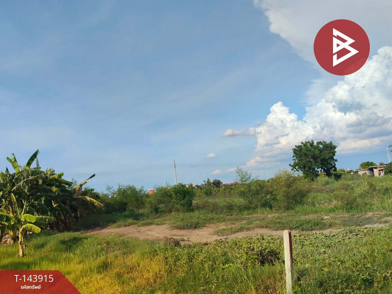 ขายที่ดิน เนื้อที่ 1 งาน ไทรน้อย นนทบุรี – รูปที่ 3
