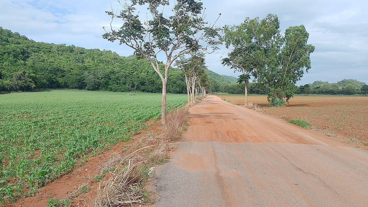 ขายที่ดินวิวภูเขาตำบลหนองน้ำแดงอำภอปากช่องจังหวัดนครราชสีมาสนใจติดต่อชนิตา088-2878791
