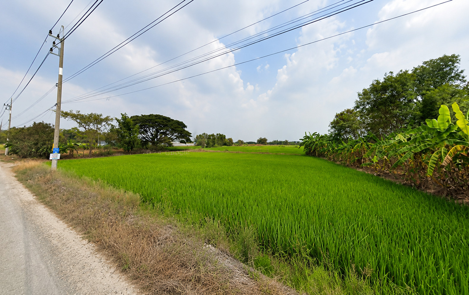 Land for sale near Salaya, Wat Pa Sri Thaworn Khlong Yong, 3 rai 60 square wah. Can be sold in smaller plots. – รูปที่ 3