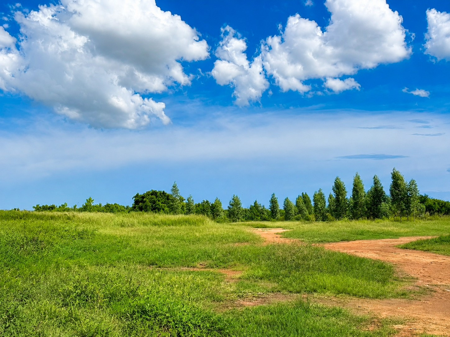Land for sale, 13 rai already filled, can be sold separately, Nadi Subdistrict, Mueang Samut Sakhon District. Near Central Mahachai