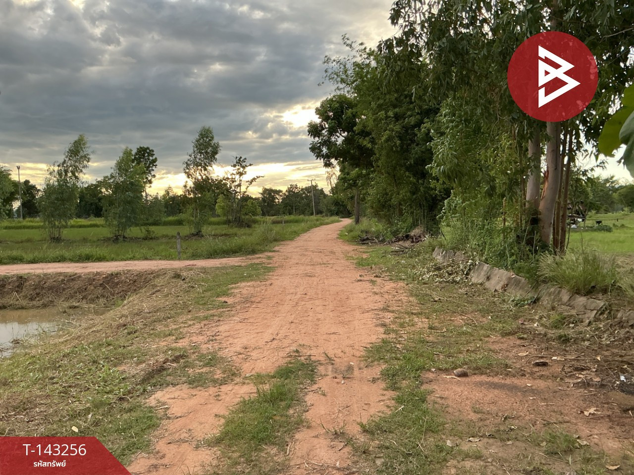 ขายที่ดิน เนื้อที่ 9 ไร่ โนนสัง หนองบัวลำภู – รูปที่ 3