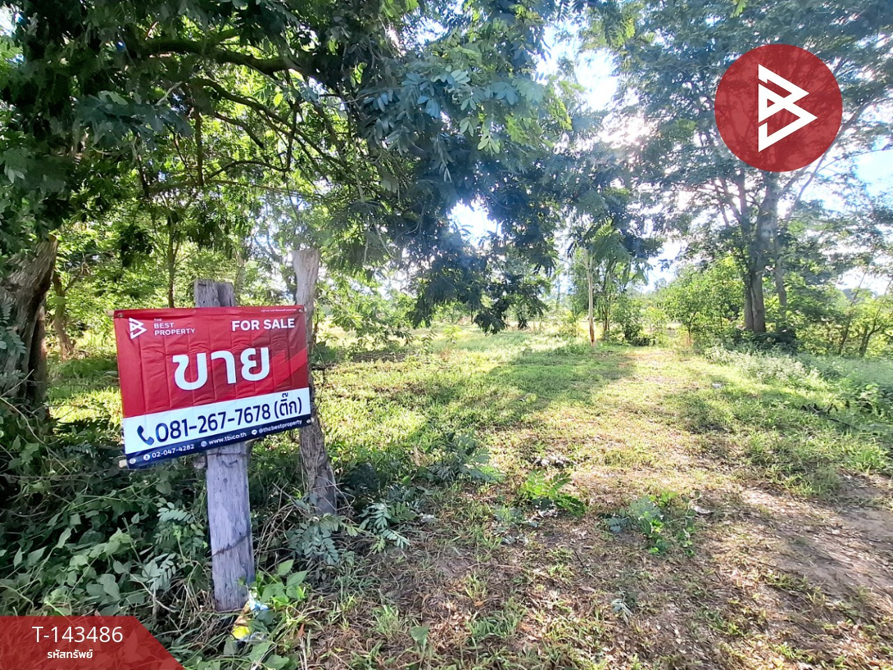 ขายที่ดิน เนื้อที่ 8 ไร่ 3 งาน 68.5 ตร.วา โพนทอง ร้อยเอ็ด – รูปที่ 2