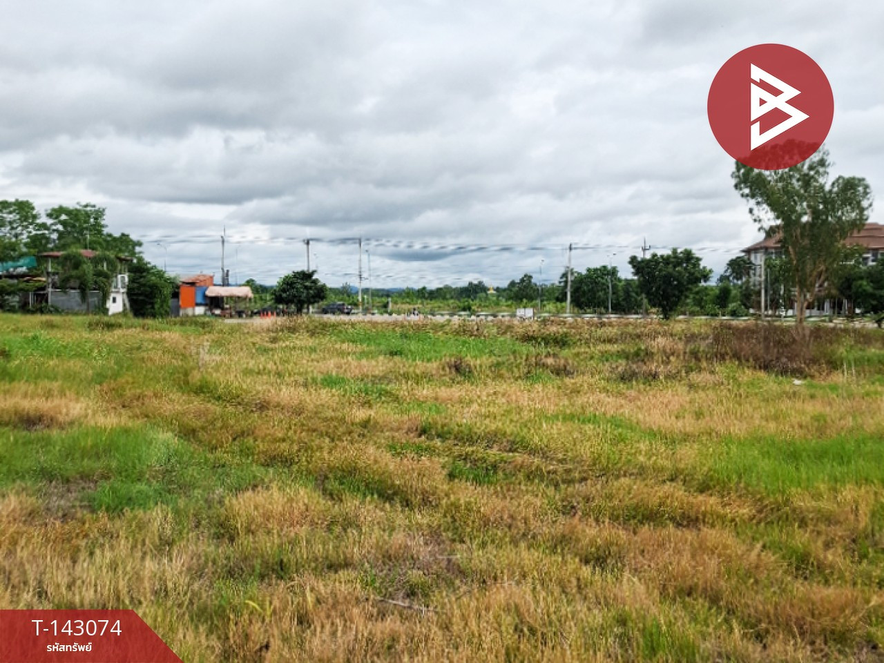 Land for sale, area 5 rai 92.7 sq m, Thoeng, Chiang Rai. – รูปที่ 3