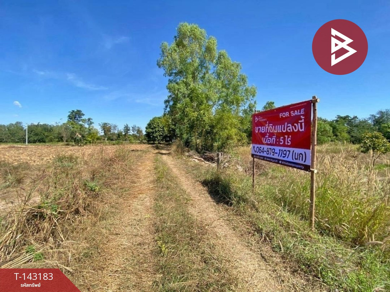 Land for sale, area 5 rai, Samran, Khon Kaen – รูปที่ 3