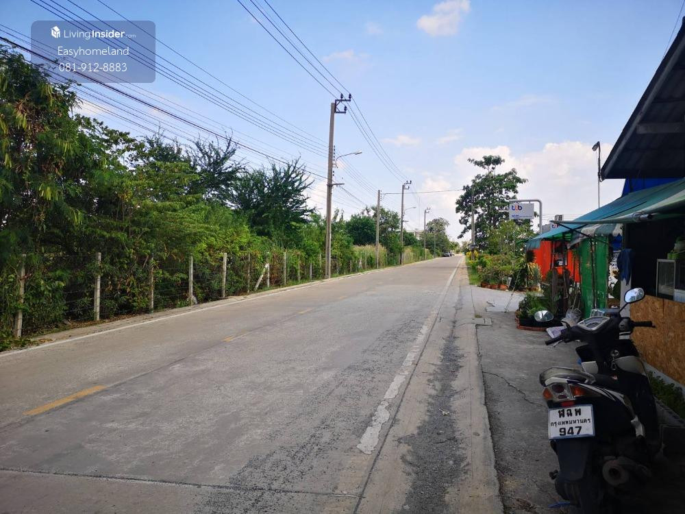 ที่ดิน บางเสาธง 8 ไร่ ให้เช่า – รูปที่ 3