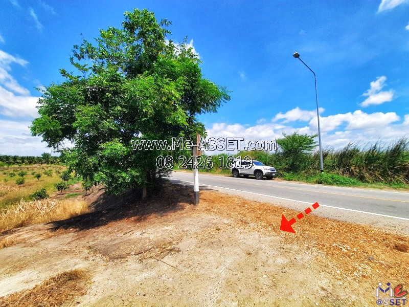 Vacant Land for Sale: 🌳Land / Agricultural Orchard (16-1-5.5 Rai) attached to Rd.RB.3018, Bang Phae, Ratchaburi. Near Highway 325. (NN-91438) – รูปที่ 3