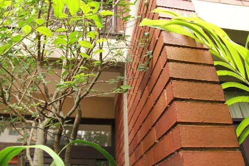 Greenery house : ให้เช่าบ้านเดี่ยวพร้อมสวน ใกล้ BTS กรมทหารราบที่ 11  – รูปที่ 3