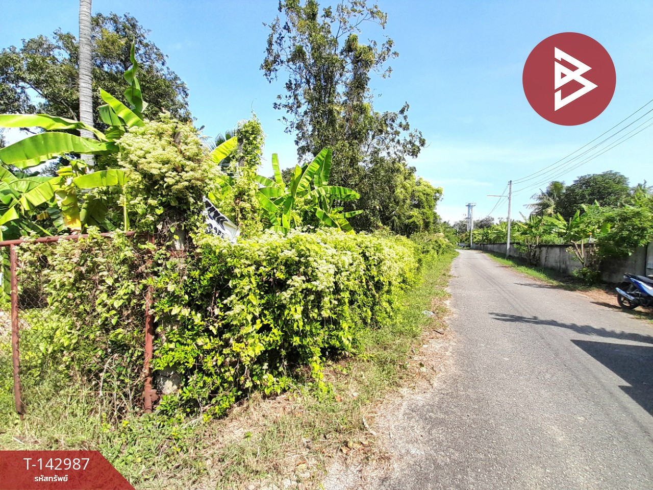 ขายบ้านเดี่ยวพร้อมที่ดิน เนื้อที่ 6 ไร่ 1 งาน 49 ตร.วา บ้านโป่ง ราชบุรี – รูปที่ 3