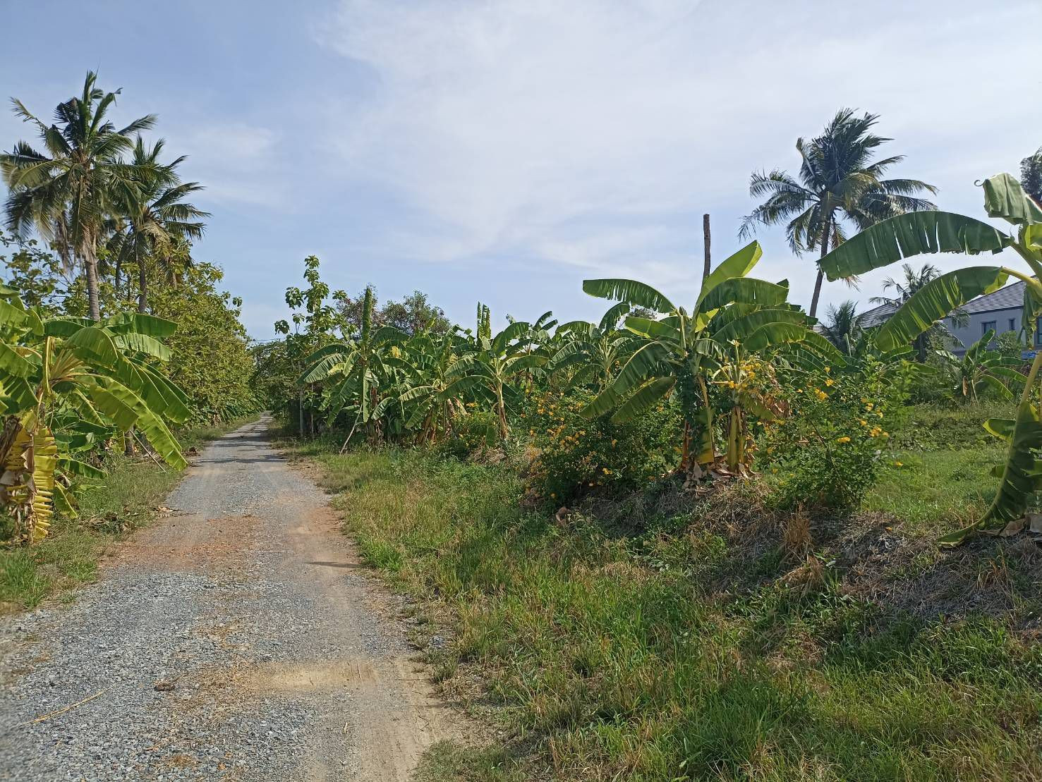 Land for sale, 13.5 rai  Located on Phutthamonthon Sai 1 Road. Near Phran Nok - Phutthamonthon Sai 4 Road (new road). Beautiful, rectangular plot.