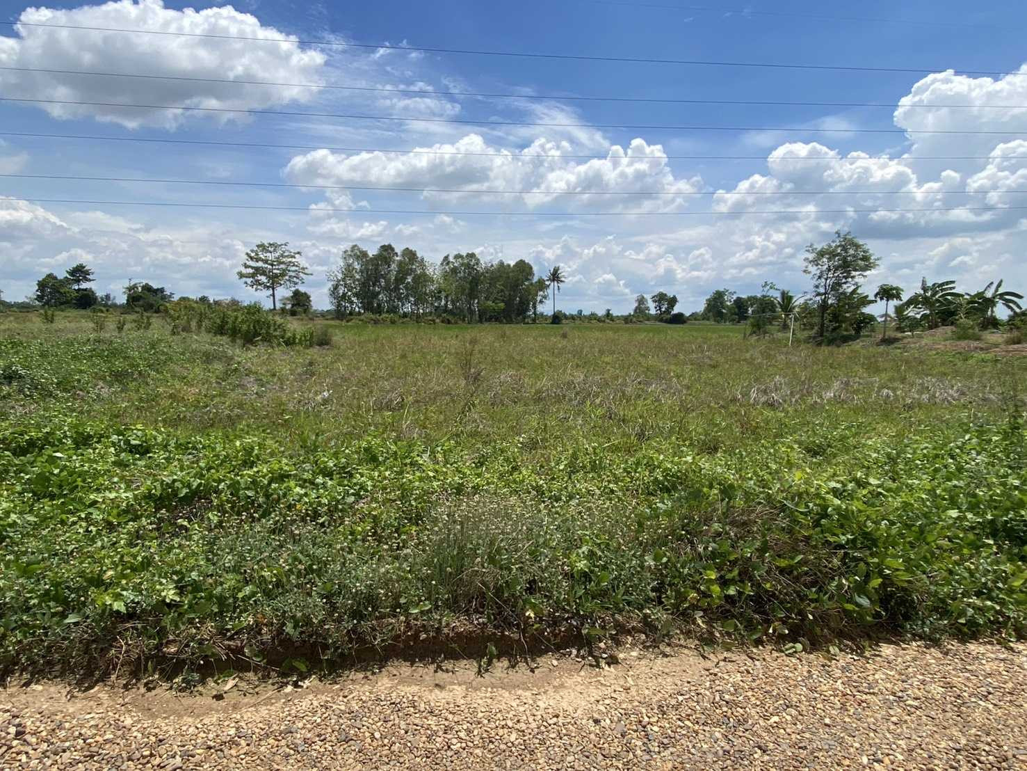 vacant land Land has been allocated. Ready to build a house – รูปที่ 2