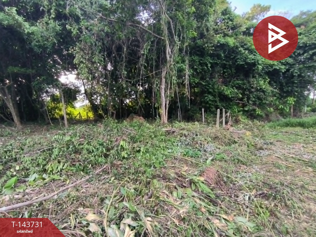 Land for sale, area 1 ngan, Tha Chang, Chanthaburi.
