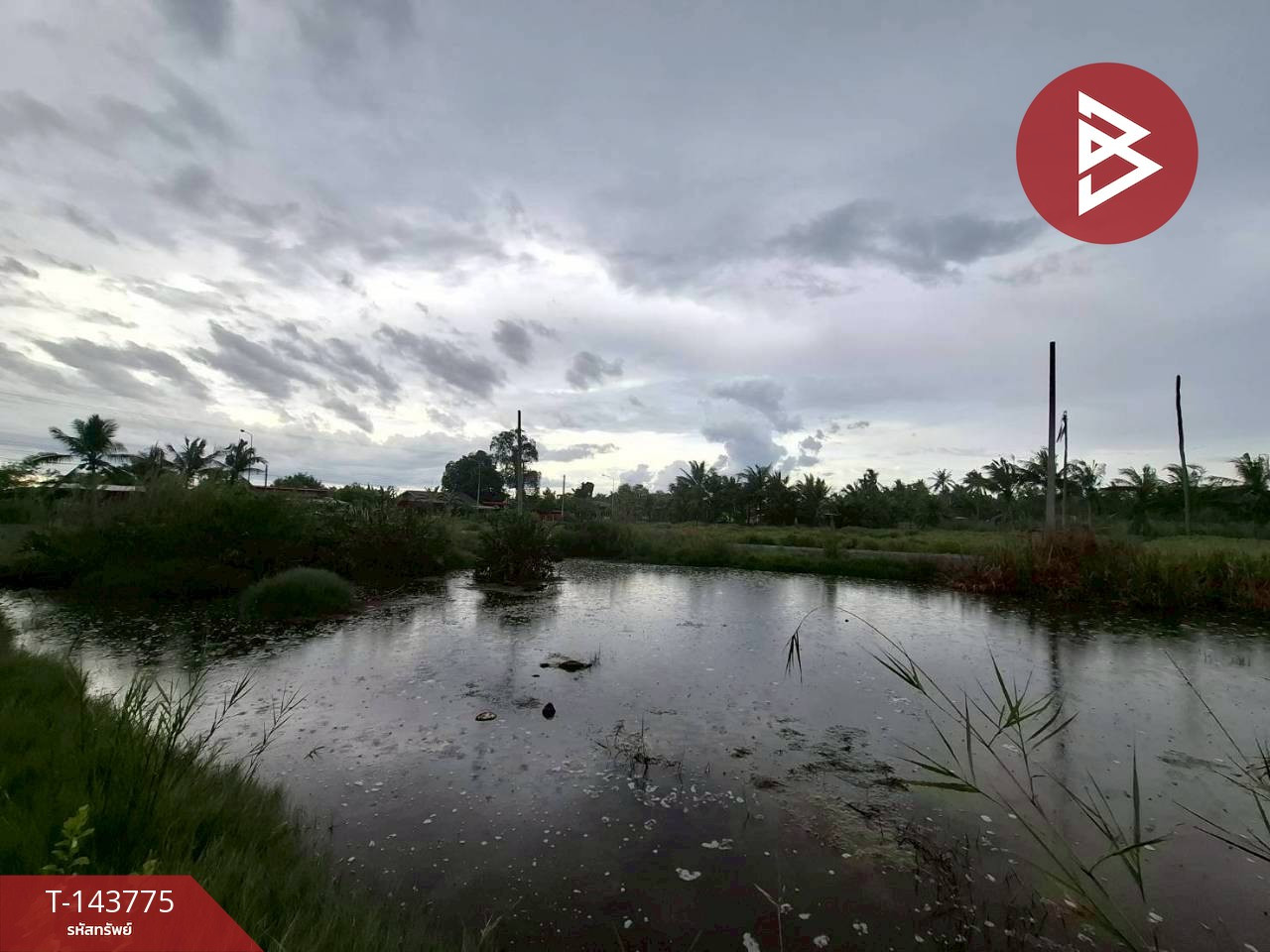 Beautiful land for sale, area 2 rai 3 ngan 96.4 square wah, Amphawa, Samut Songkhram, next to a rural road. – รูปที่ 3