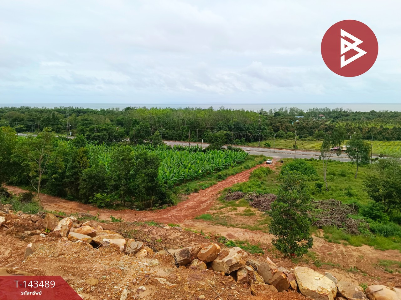 ขายที่ดิน เนื้อที่ 9 ไร่ 2 งาน 87 ตร.วา แหลมกลัด ตราด – รูปที่ 2